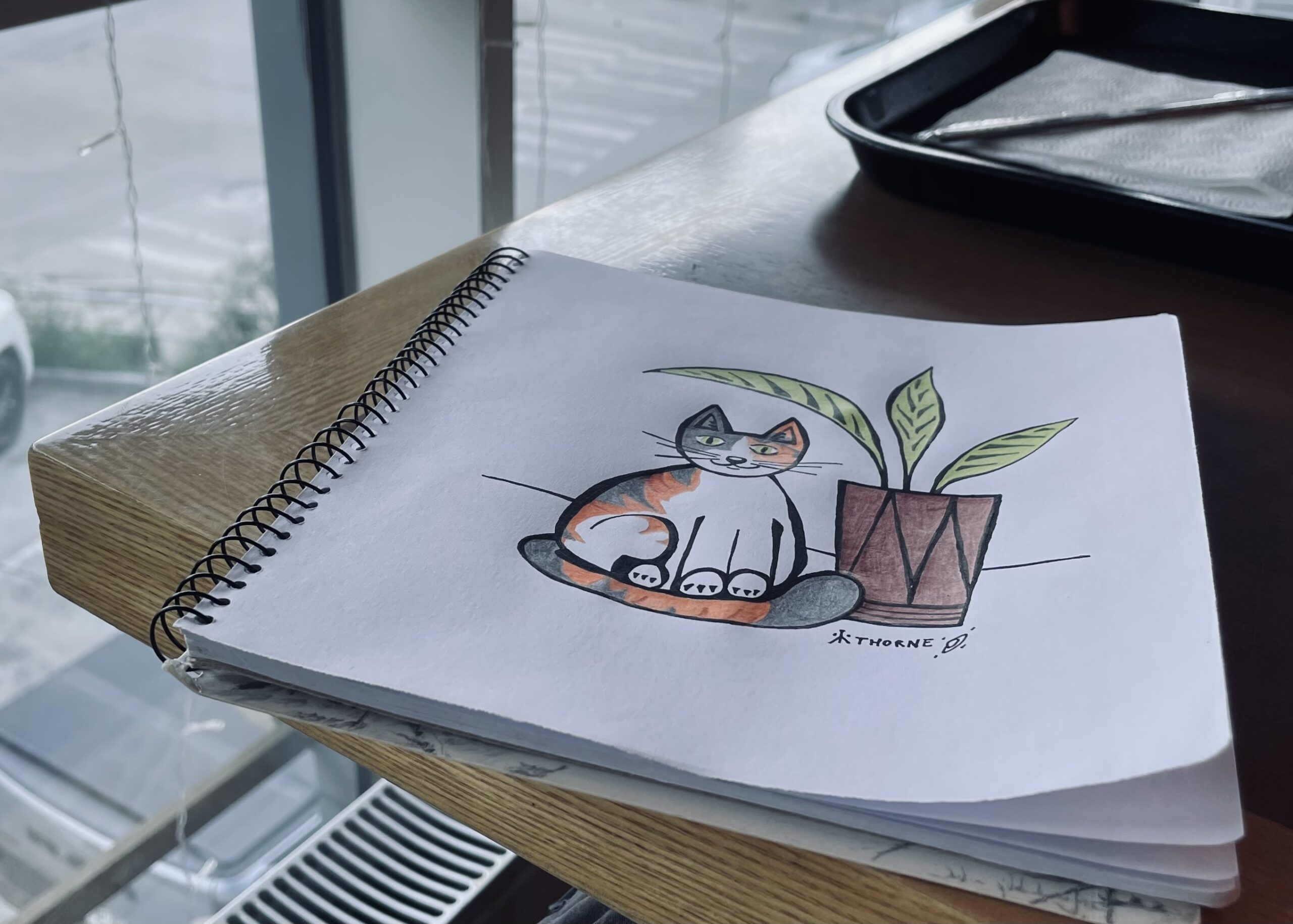 What’s Better Than Cats and Coffee?